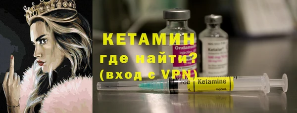 индика Болотное