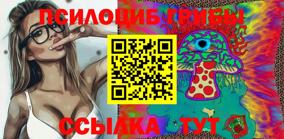 Псилоцибиновые грибы ЛСД  Вход с VPN  Галлюциногенные грибы Psilocybe  Горно-Алтайск 