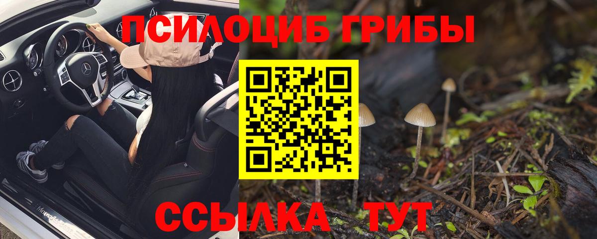 Псилоцибиновые грибы MAGIC MUSHROOMS Горно-Алтайск